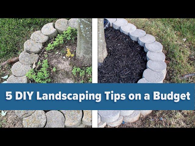 5 DIY Landscaping Tips on a Budget