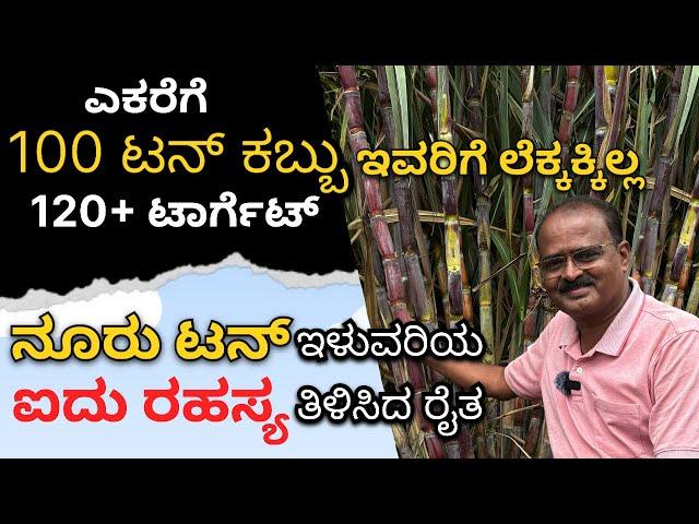 ಇವರು ಎಕರೆಗೆ 100+ ಟನ್ ಕಬ್ಬು ಬೆಳಿತಾರೆ, ನೀವ್ ಎಷ್ಟು ಬೆಳಿತಿರಾ? SUGARCANE 100Tonnes Per Acre @mrerehulaa