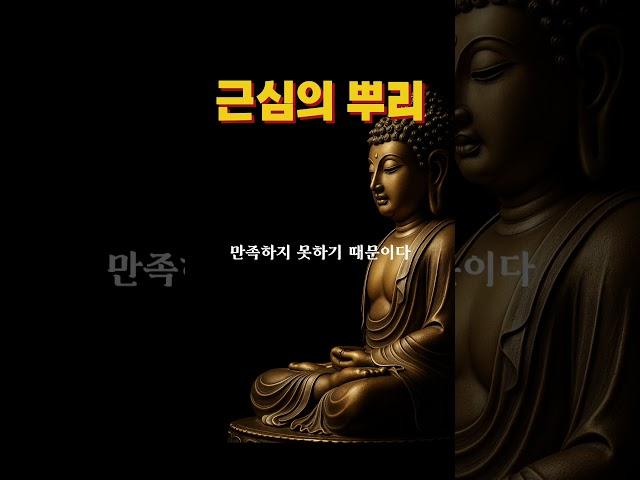 근심하는 이유 명언 불교명상 #좋은글 #근심걱정 #힐링명상