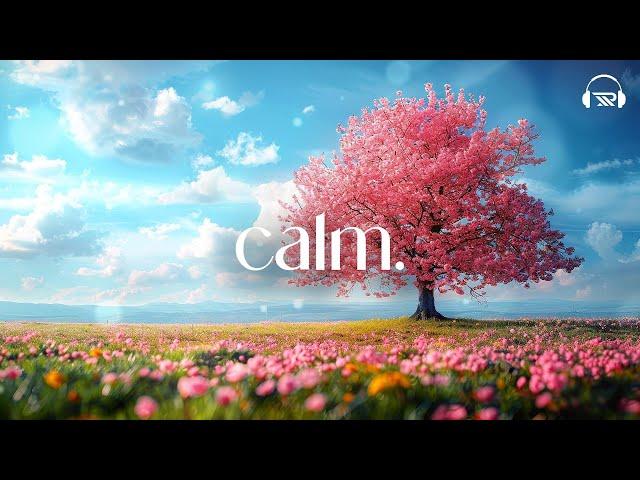  calm.music for relaxation and stress relief spa | work | unwind | rejuvenate #relaxingmusic