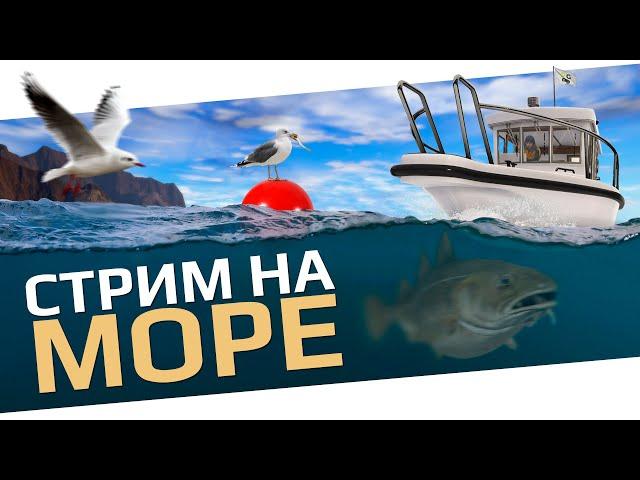 РУССКАЯ РЫБАЛКА 4 -  Норвежское море / Фарм монет к Новому году / Стрим 1