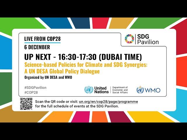 Science-based Policies for Climate and SDG Synergies — A UN DESA Global Policy Dialogue