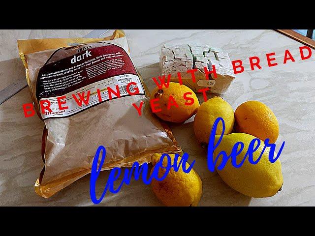 bread yeast lemon gruit ( lemon beer) making beer without hops