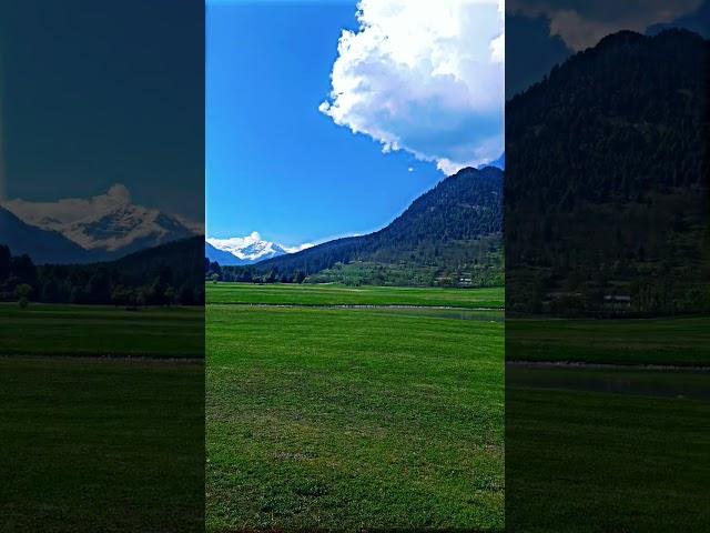 Pahalgam golf course #golf #pahalgamdiaries #mountains #greenscreen