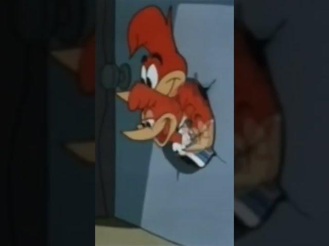 woody the woodpecker cartoon