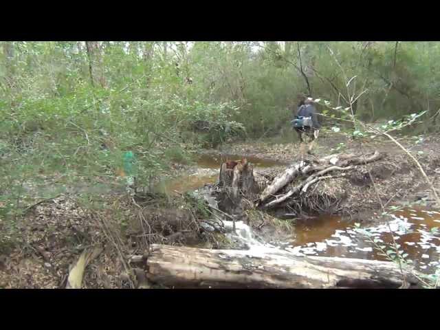 Texas Army Trail Disc Golf Course After a Good Rain