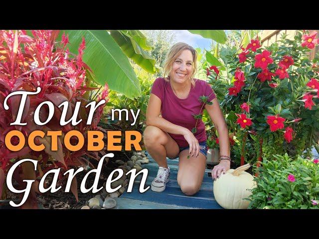 October Garden Tour of My Carolina Garden | BACK YARD