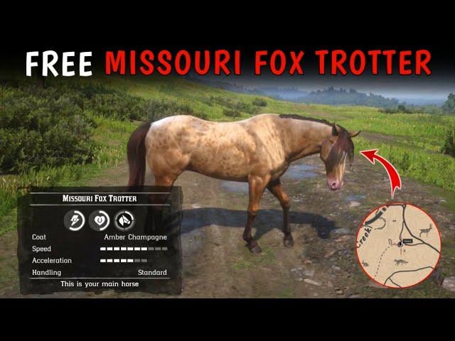 How To Get Free Missouri Fox Trotter Horse With Location - RDR2