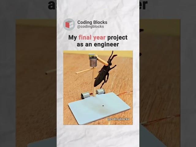 Final year project as an Engineer | Who else can relate | Coding Blocks! #code #codingblocks