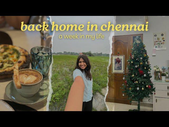 FIRST WEEK IN CHENNAI  | home food, mom's birthday, setting up christmas decorations etc