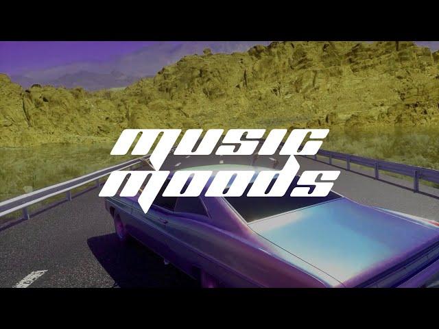 Riton, David Guetta & Jozzy - Where You Want | ️ROADTRIP MOOD