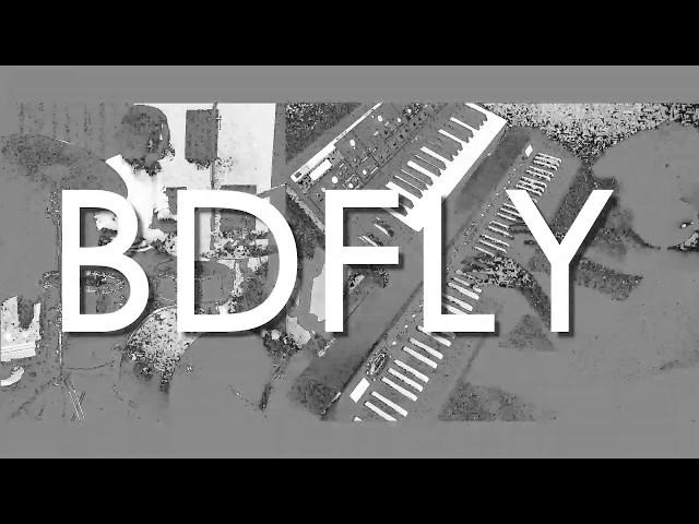 LEAF LEAF // "BDFLY"