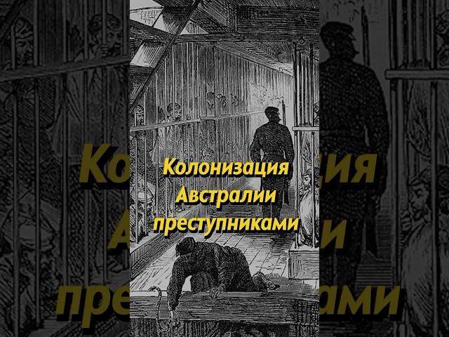 Британская колонизация Австралии. Мединский #shorts #история