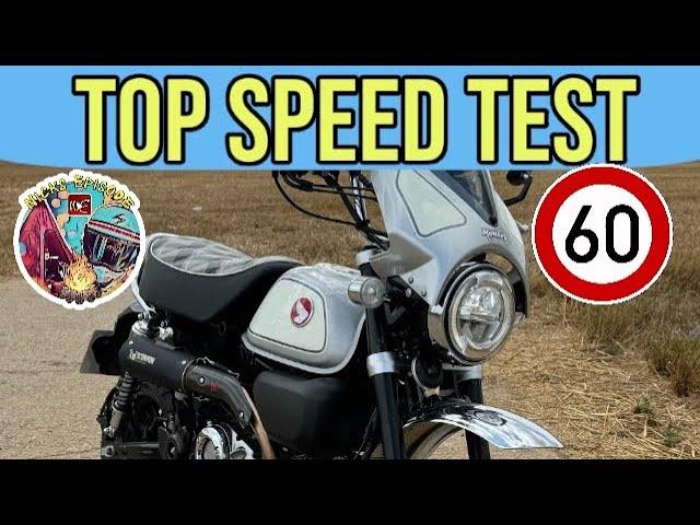 Honda Monkey 125 0-50mph Test & Top Speed