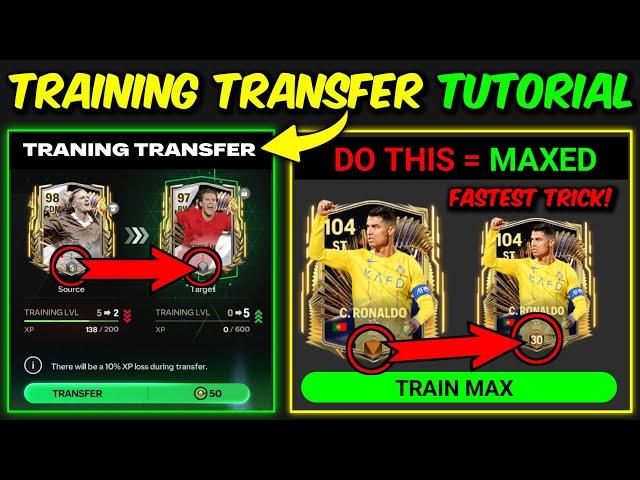 How To Do TRAINING TRANSFER & Fastest Way to MAX TRAIN? | Mr. Believer