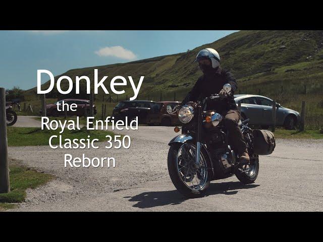 Donkey the Royal Enfield Classic 350 Reborn - New Channel Bike