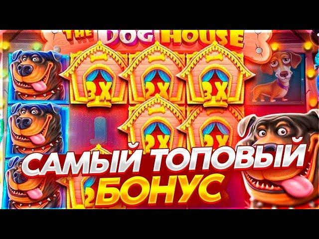 СЛОВИЛ КРУПНЫЙ ЗАНОС С ПОЛЯНОЙ БУДОК! ЗАНОС В THE DOG HOUSE В БОНУСКЕ ЗА 100К! ДОГ ХАУС