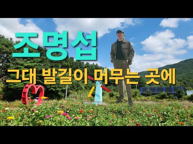 #힐링타임(원주 용수골 가을꽃축제) #그대발길이머무는곳에  #조명섭