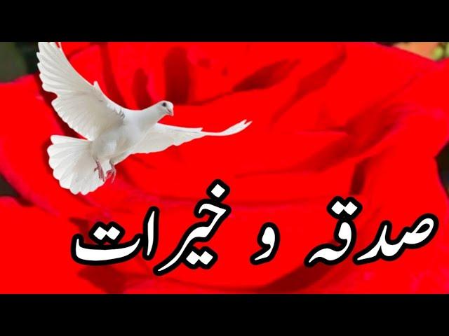 sdqa o khirat|aqwal e zareen| golden word