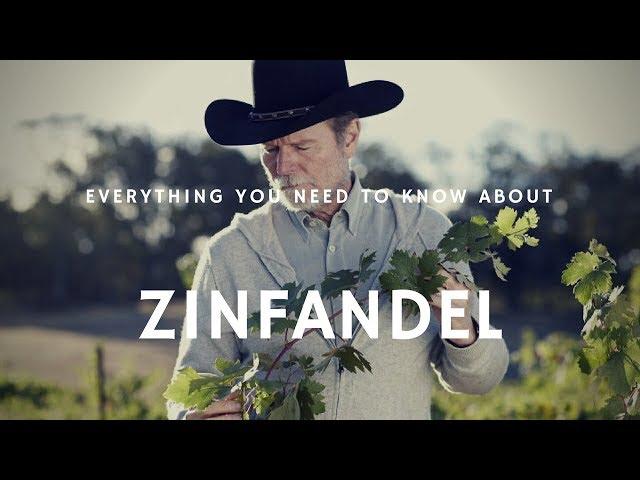 Everything You Need to Know About Zinfandel with Joel Peterson - Wine Oh TV