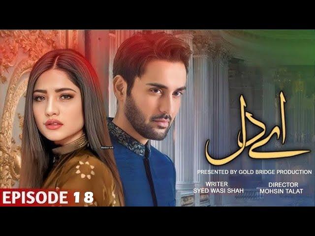 Aye Dil - Episode 18 | Neelam Muneer and Affan Waheed | Pkaistani New Drama