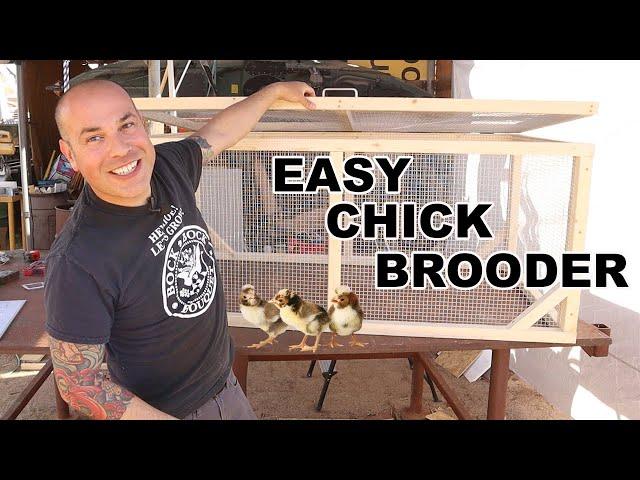 DIY Chick Brooder Design - Raise Baby Chickens Outdoors Easy