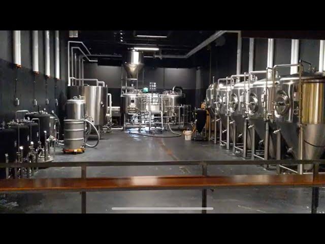 Trillium Brewing Company brewery review