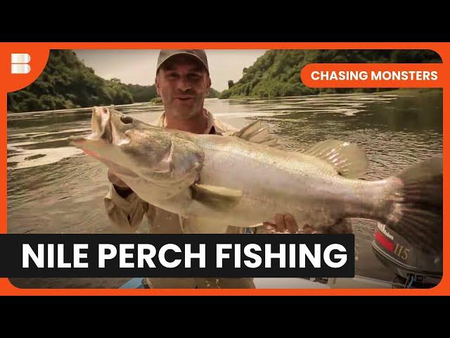 Wild Nile River Fishing - Chasing Monsters - S02 EP07 - Nature & Adventure Documentary