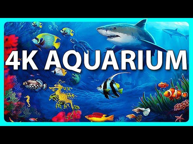 The Best 4K Aquarium for Relaxation  Relaxing Oceanscapes - Sleep Meditation 4K UHD Screensaver