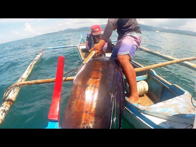 Traditional Hook Fishing - Giant Malasugi | Jackpot! Big Sailfish! | Philippines Primitive Fishing