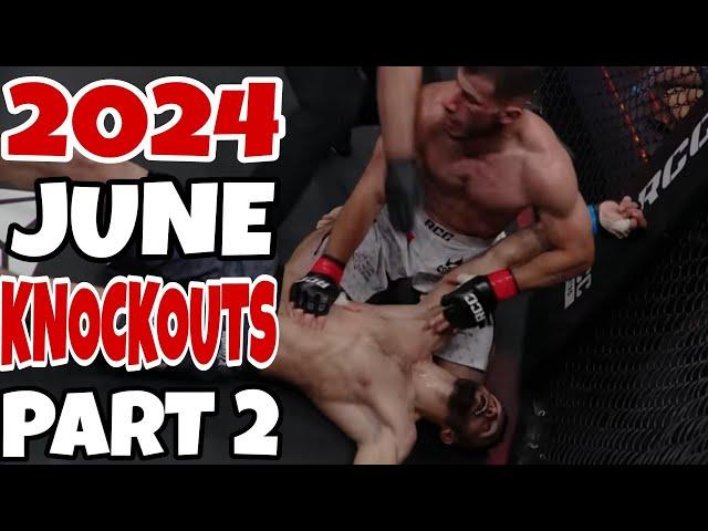 MMA & Boxing Knockouts I June 2024 Part 2