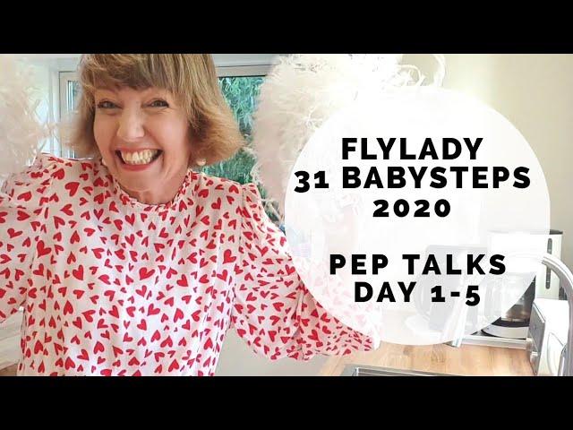 Flylady 31 Babysteps for Beginners! 2020 Instagram series (Days 1-5)