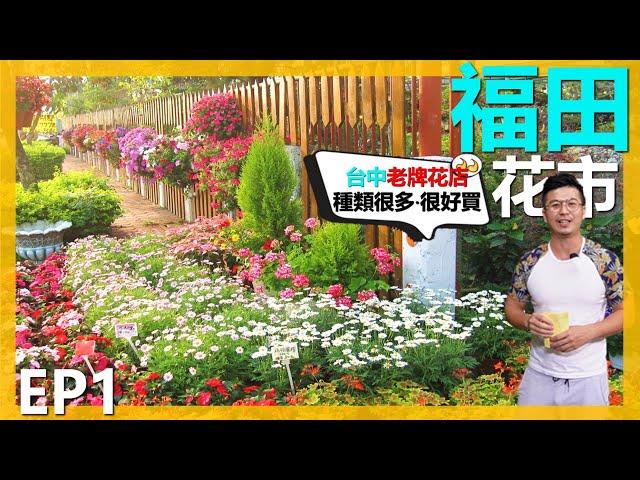 【福田觀光花市EP1】GARDEN SHOP TOUR 台中老牌園藝店，品項種類很多，時不時會有一些精品出現，很值得去逛逛。＃伊恩愛種花＃福田園藝＃台中園藝店