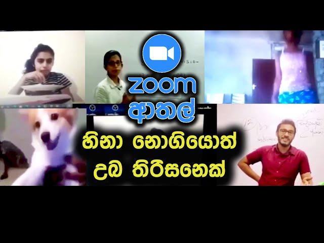 Zoom Meetings වල සිදු වුනු ආතල් සිද්ධි | Zoom Fun New | Zoom Athal New | Zoom Fun Sri Lanka 2024