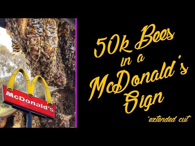 50k Bees In A 65ft. McDonald's Sign