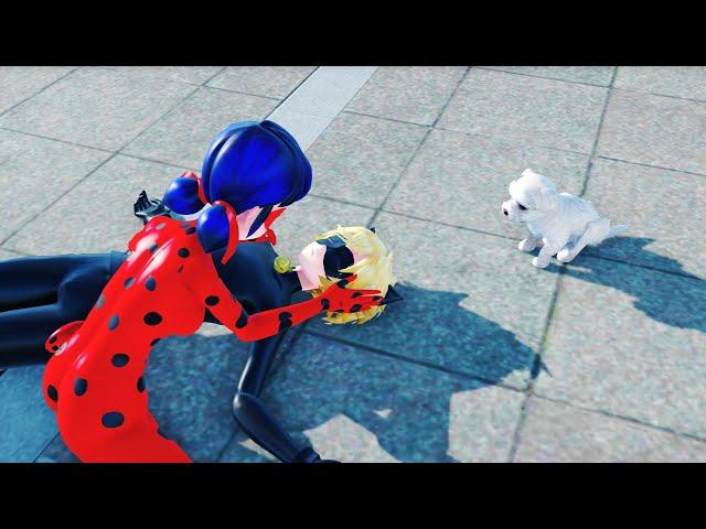 【MMD Miraculous】Chat Noir...?【Ladybug×Chat Noir】【60fps】