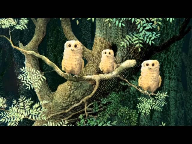 Owl Babies