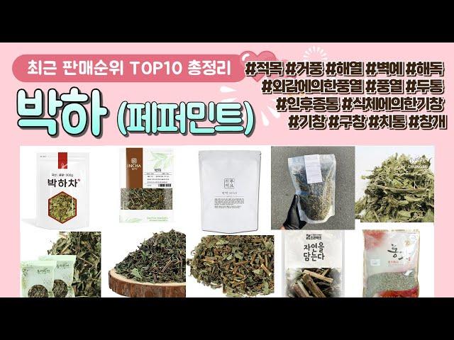 박하 (페퍼민트) 추천 판매 순위 TOP 10