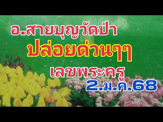 อ.สายบุญวัดป่า.ปล่อยด่วนๆๆเลขพระครูฝัน2.ม.ค.68