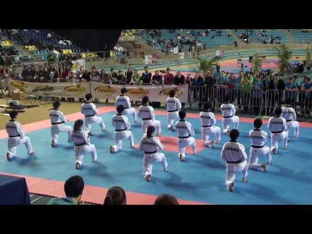 Kukkiwon Taekwondo Demonstration (2013 Belgian Open)