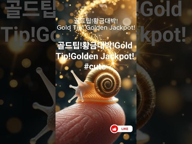 골드팁!황금대박!Gold Tip!Golden Jackpot! #cute