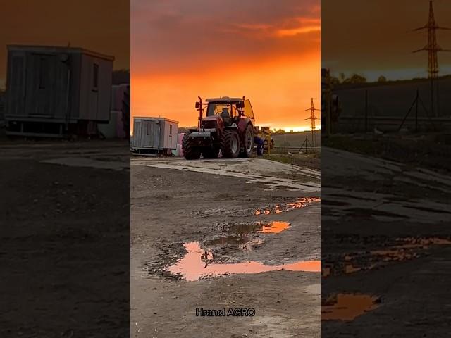 Sunrise with Case IH Puma ️ #shorts