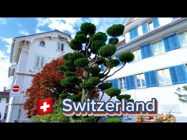 basel switzerland walking tour||Basel village view#swizerland