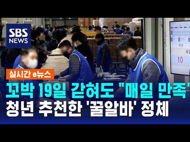 꼬박 19일 갇혀도 "매일 만족"…청년 추천한 '꿀알바' 정체 / SBS / 실시간 e뉴스