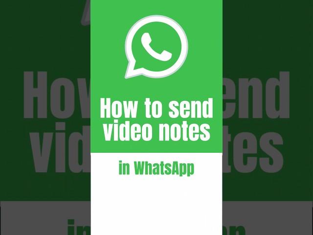 How to send video notes in #WhatsApp NEW EXPERIENCE