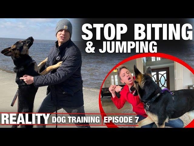 I HAVE to get this dog to STOP BITING & JUMPING! REALITY Dog Training.