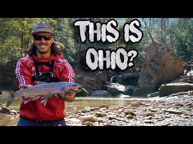 Steelhead Fishing in Amazing Ohio Creek!