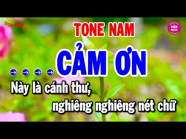 Cảm Ơn Karaoke Tone Nam ( Cm ) Nhạc Sống Rumba Chất Lượng Cao | Tiên Organ