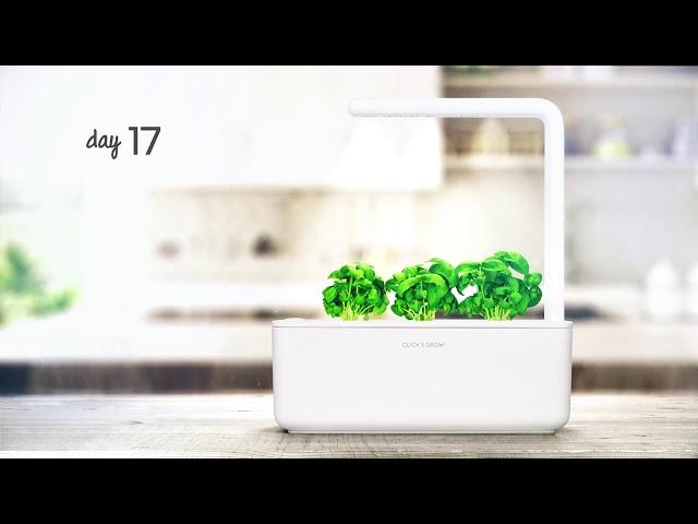 Click & Grow Smart Garden 3: 30 Day Time Lapse