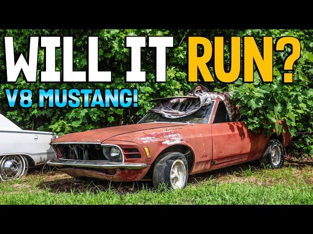 ABANDONED 1970 V8 Mustang - Will It Run After Decades?